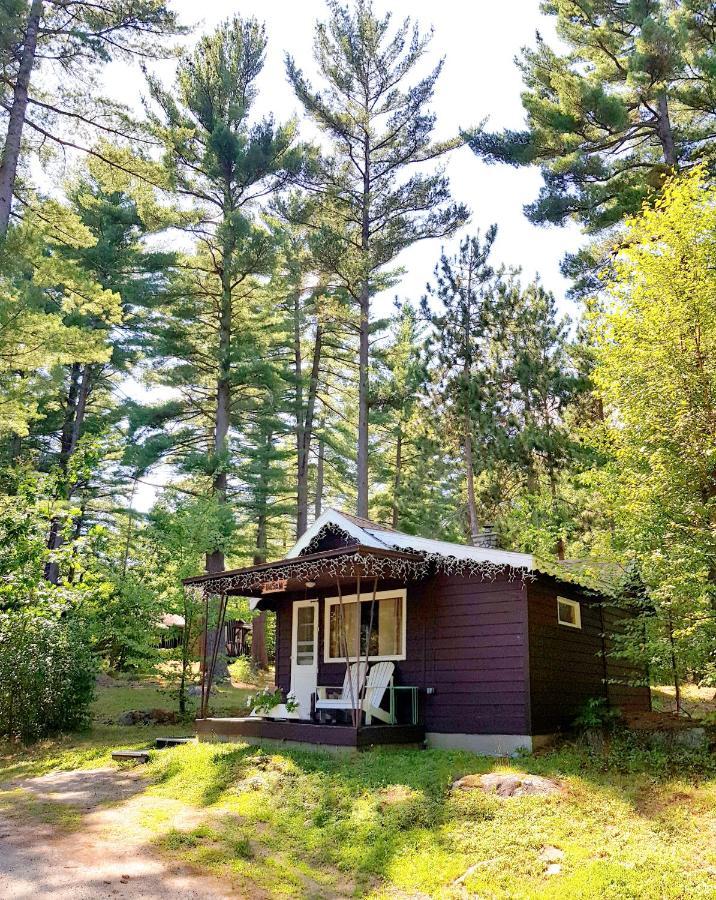 Chalet The Wilderness Inn: *